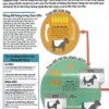 How Money Works - Ảnh 4