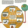 How Money Works - Ảnh 5
