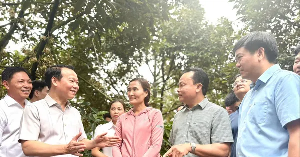 dai-phau-‘vua’-trai-cay-ty-usd:-cho-su-hoa-giai-cua-tu-lenh-nganh-nong-nghiep
