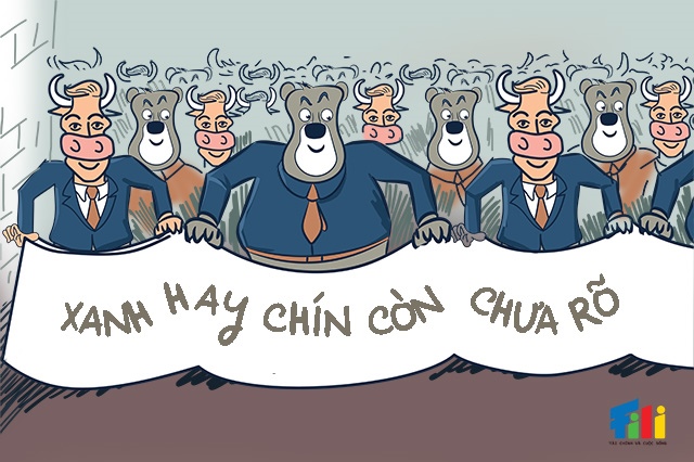 goc-nhin-tuan-09-13/06:-buoc-vao-giai-doan-dieu-chinh?