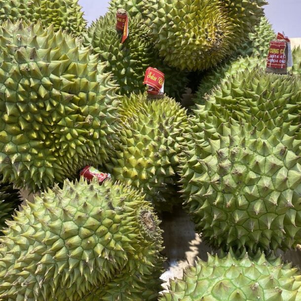duoc-de-nghi-cong-bo-ket-qua-kiem-tra-phan-dap-han-quoc,-cuc-trong-trot-va-bao-ve-thuc-vat-noi-gi?