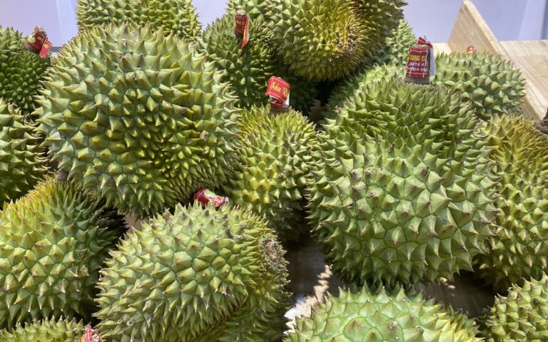 duoc-de-nghi-cong-bo-ket-qua-kiem-tra-phan-dap-han-quoc,-cuc-trong-trot-va-bao-ve-thuc-vat-noi-gi?