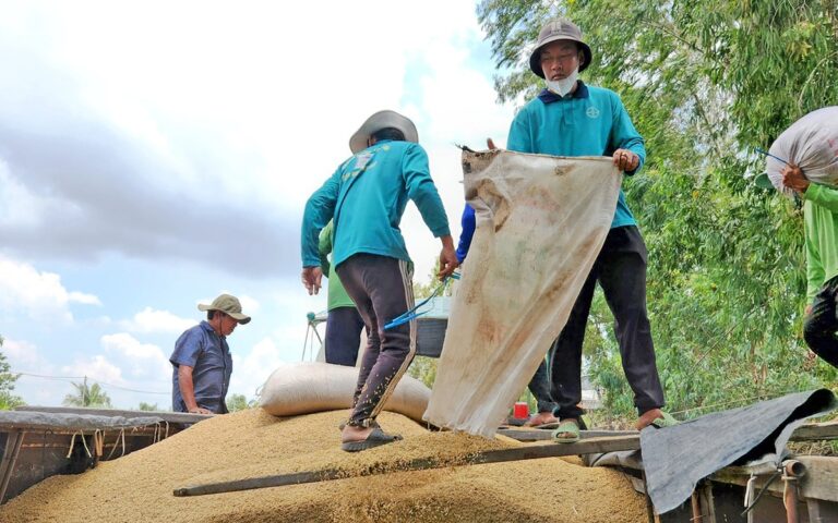 khong-de-tang-luong-gao-viet-xuat-khau-sang-nhat-du-nuoc-ban-dang-thieu,-vi-sao?