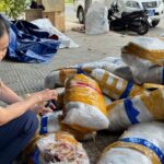 chong-buon-lau,-hang-gia-9-6:-lang-son-xu-nghiem-can-bo-tiep-tay-buon-lau