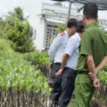 tranh-luan-ve-clip-doan-lien-nganh-kiem-tra-co-so-cay-giong-o-hau-giang