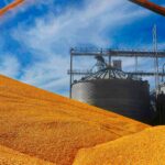 as-china-seeks-to-end-food-dependence,-us-corn-heads-to-europe