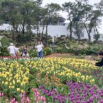 Tây Ninh đón 3,2 triệu khách du lịch, vượt 2.300 tỉ đồng trong 5 tháng