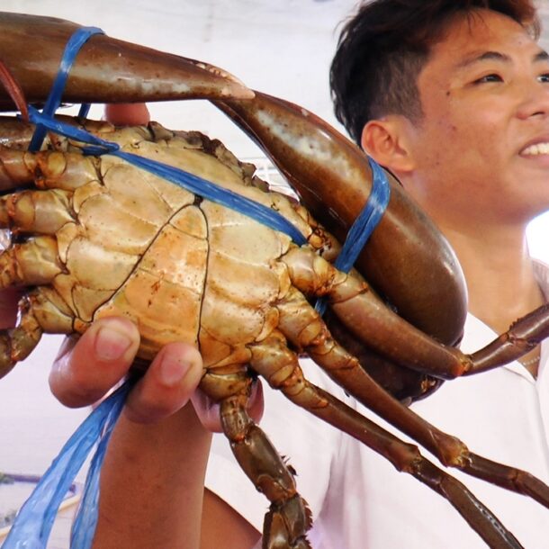 nguoi-nuoi-cua-ca-mau-phan-khoi-voi-muc-tieu-40.000-tan-cua-moi-nam