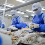 Mức thuế chống bán phá giá tôm Việt Nam vào Mỹ tăng đột biến, doanh nghiệp kêu oan