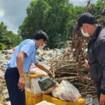 chong-buon-lau,-hang-gia-7-6:-phu-yen-tieu-huy-80kg-thit-heo-dong-lanh-khong-ro-nguon-goc