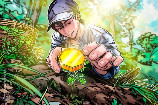 how-crypto-experts-find-100x-coins-before-anyone-else