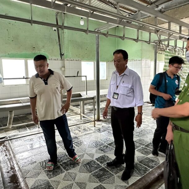 vu-cong-ty-cp.-bi-to-ban-thit-heo-benh:-hau-giang-noi-khong-co-dich-benh-nhu-phan-anh
