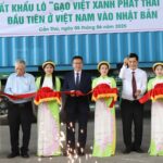 xuat-khau-lo-500-tan-‘gao-viet-nam-phat-thai-thap’-dau-tien-sang-nhat-ban