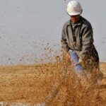 china’s-rare-earth-exports-to-us-drop-80%-in-may