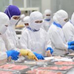 Thủy sản Việt tăng tốc ấn tượng, VASEP kiến nghị Thủ tướng có biện pháp bảo vệ