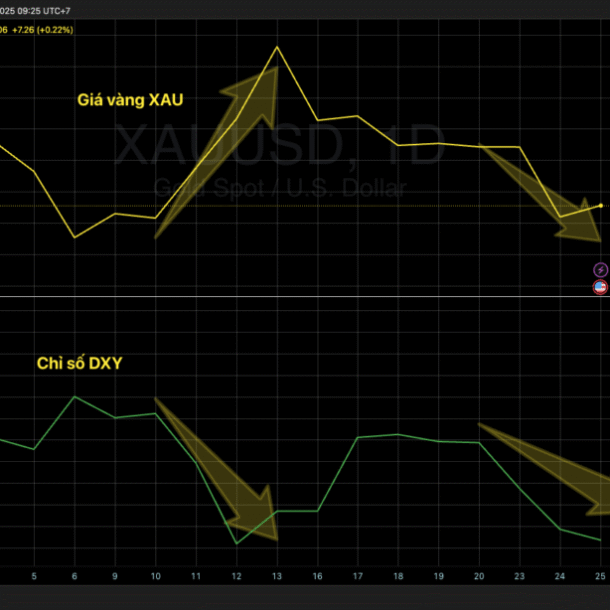 nhin-chi-so-do-la-index-(dxy)-de-phan-tich-gia-vang,-thuc-su-dang-la-sai-lam-lon?