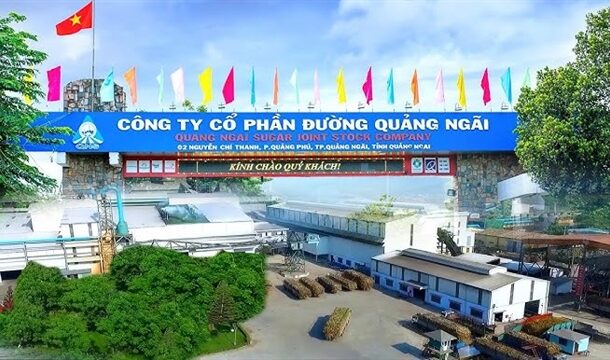 qns-–-tiep-tuc-tang-truong-(ky-1)