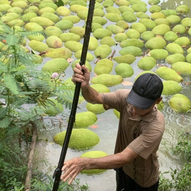 ‘guong-mat-moi’-cho-gia-tri-nong-san-la-du-lich-nong-nghiep,-giai-tri-va-thoi-trang?