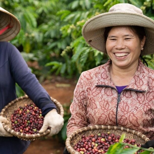 30-nam-nestle-dong-hanh-cung-nguoi-viet-tren-hanh-trinh-phat-trien-ben-vung