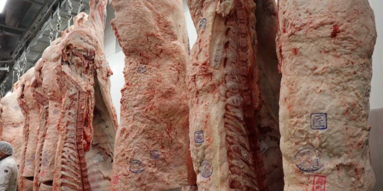 japan-wagyu-exports-to-us-fall-as-trump-tariffs-bite