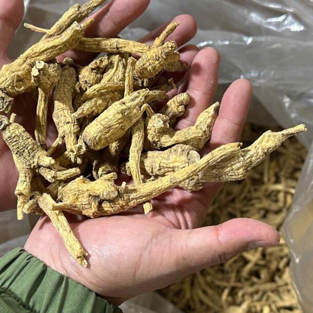 american-ginseng-farmers-on-brink-as-us-china-trade-war-drags