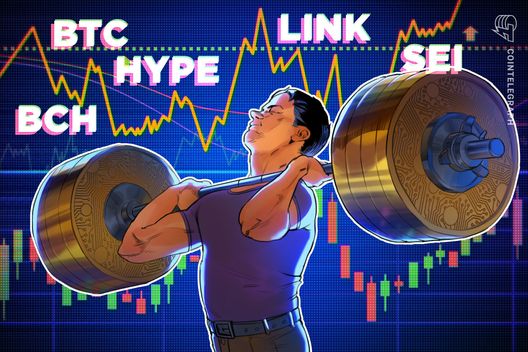 bitcoin-aims-for-highest-weekly-close:-will-hype,-bch,-link,-and-sei-follow?