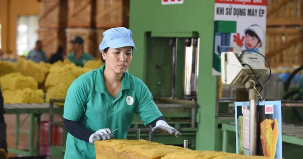 vrg-truoc-them-dai-hoi-co-dong-2025:-ban-linh-vuot-kho,-san-sang-cho-suc-bat-moi
