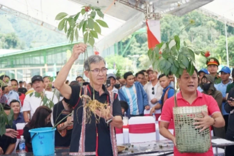 tung-buoc-hinh-thanh-trung-tam-cong-nghiep-duoc-lieu