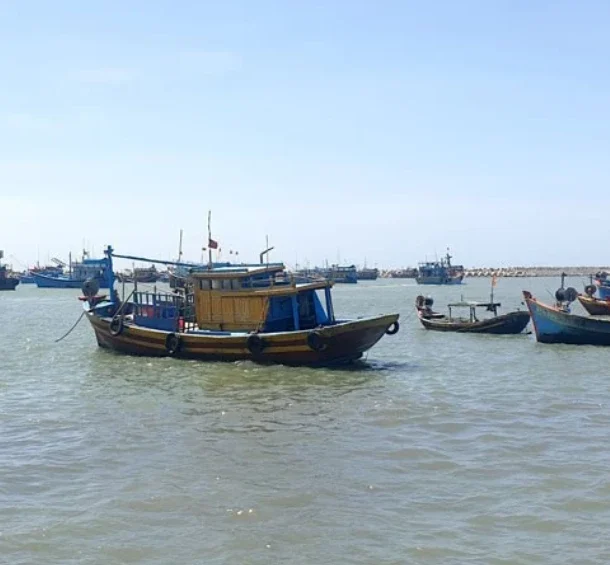 quyet-liet-go-the-vang-thuy-san