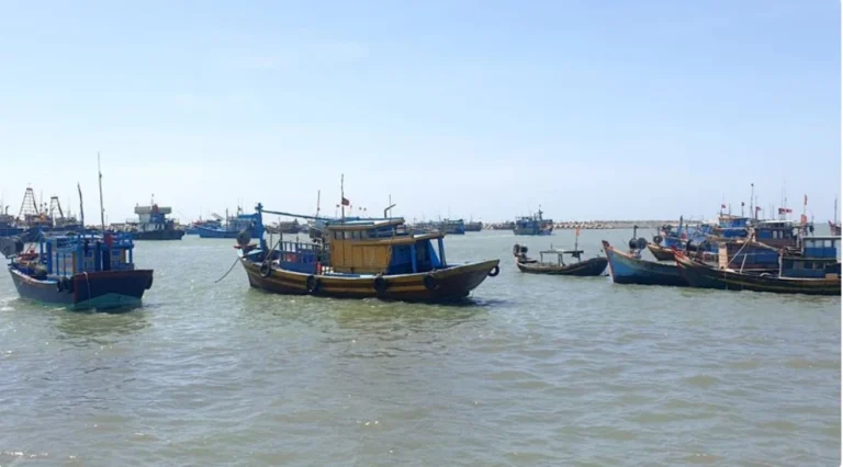 quyet-liet-go-the-vang-thuy-san