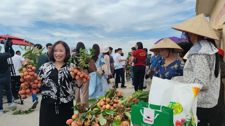 hai-duong-tang-cuong-xuc-tien-thuong-mai-tieu-thu-vai-thieu-bang-nhieu-hinh-thuc-moi