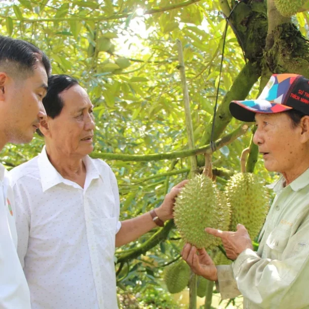 nhung-ty-phu-miet-vuon-hau-giang