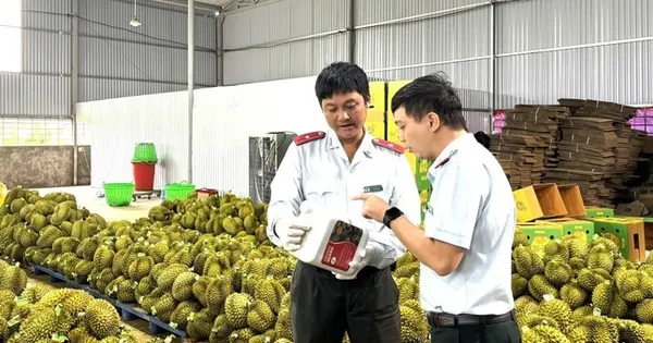 eu-sap-thanh-tra-sau-rieng-viet-nam