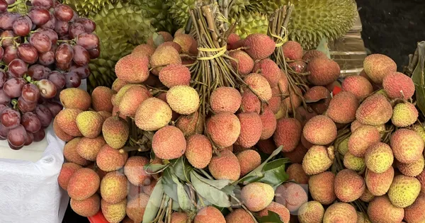 vai-thieu-vao-vu,-gia-re-bat-ngo