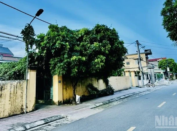 phan-khuc-dat-nen-tang-truong-on-dinh