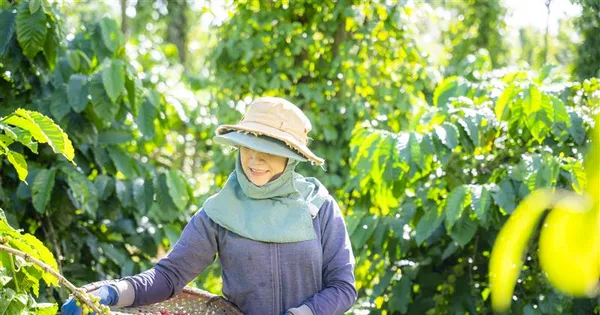 nestle-tien-phong-lan-toa-thoi-quen-tieu-dung-xanh,-huong-toi-tuong-lai-phat-trien-ben-vung