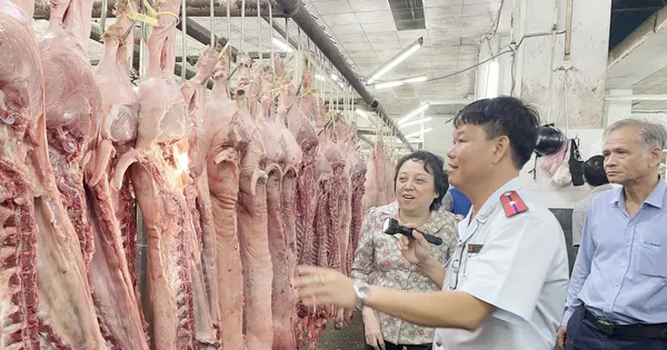 thanh-kiem-tra-co-so-giet-mo-dong-vat-tren-ca-nuoc
