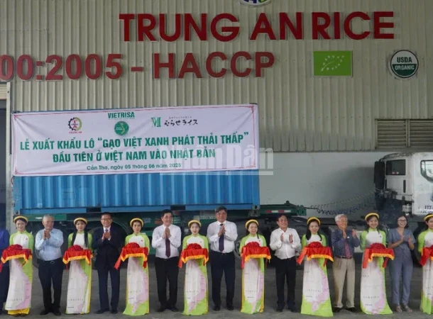 can-tho-xuat-khau-lo-hang-dau-tien-“gao-viet-xanh-phat-thai-thap”-sang-nhat-ban
