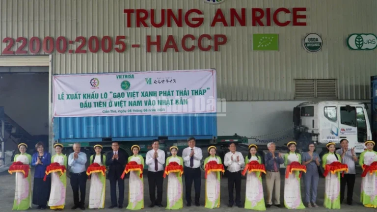 can-tho-xuat-khau-lo-hang-dau-tien-“gao-viet-xanh-phat-thai-thap”-sang-nhat-ban