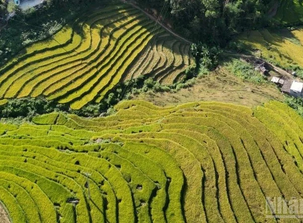san-xuat-nong-nghiep-thang-5/2025-tang-truong-kha