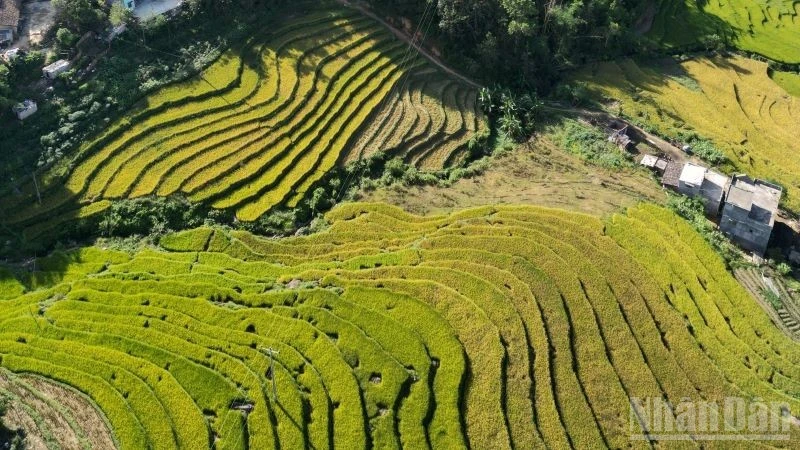 san-xuat-nong-nghiep-thang-5/2025-tang-truong-kha
