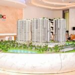 Cổ phiếu tăng trần 5 phiên, LDG nói do “triển vọng kinh doanh”