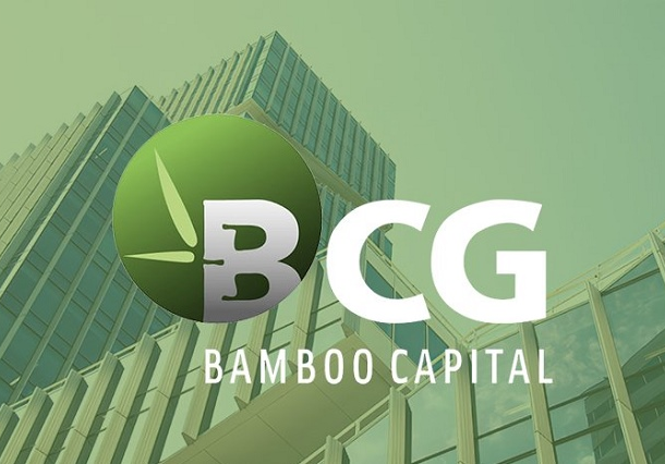 co-phieu-bcg,-tcd-vao-dien-canh-bao-vi-cong-ty-chua-to-chuc-hop-dhdcd