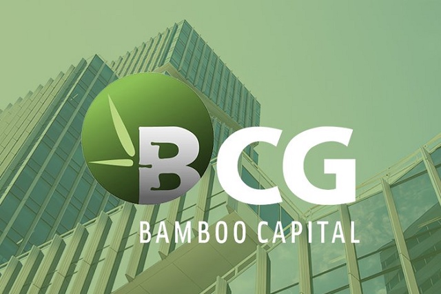 co-phieu-bcg,-tcd-vao-dien-canh-bao-vi-cong-ty-chua-to-chuc-hop-dhdcd