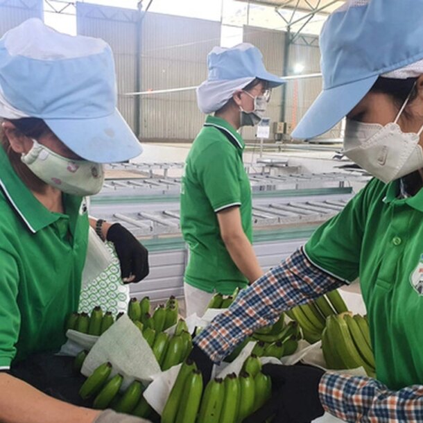 hoang-anh-gia-lai-cham-tra-lai-trai-phieu,-sap-co-hon-1.000-ti-thu-nhap-bat-thuong