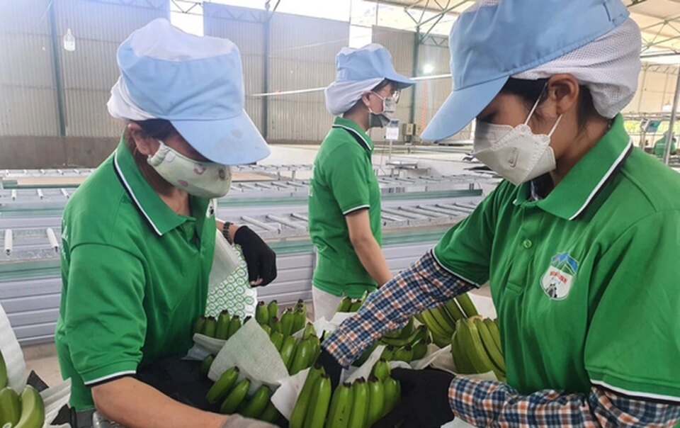 hoang-anh-gia-lai-cham-tra-lai-trai-phieu,-sap-co-hon-1.000-ti-thu-nhap-bat-thuong