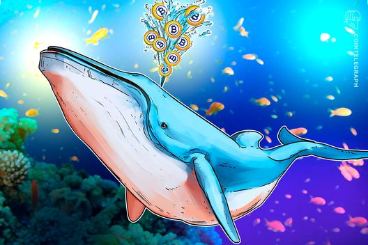 $8.6b-bitcoin-whale-transfer-shows-no-signs-of-sell-off:-arkham