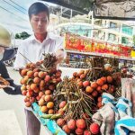 Giá nhiều loại trái cây ở mức thấp