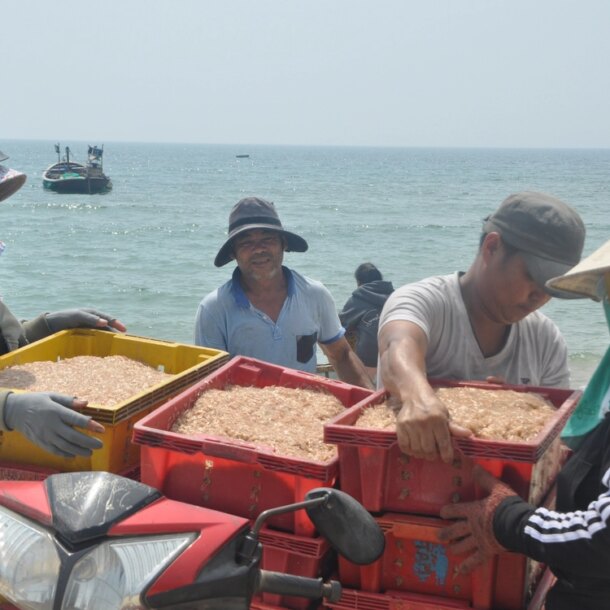 ruoc-xuat-hien-day-dac-gan-bo,-ngu-dan-da-nang-di-vot-kiem-tien-trieu-moi-ngay