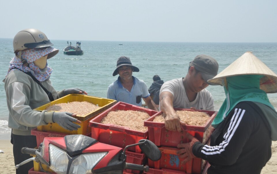 ruoc-xuat-hien-day-dac-gan-bo,-ngu-dan-da-nang-di-vot-kiem-tien-trieu-moi-ngay